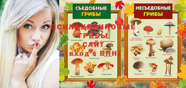 кокс Богородицк