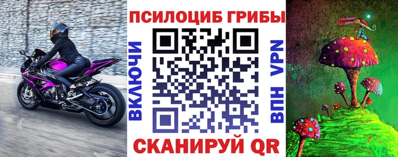 Псилоцибиновые грибы ЛСД  закладки  shop Telegram  Балашов 