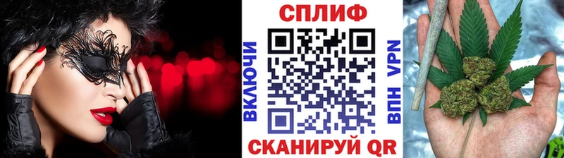 Канабис план  Балашов 